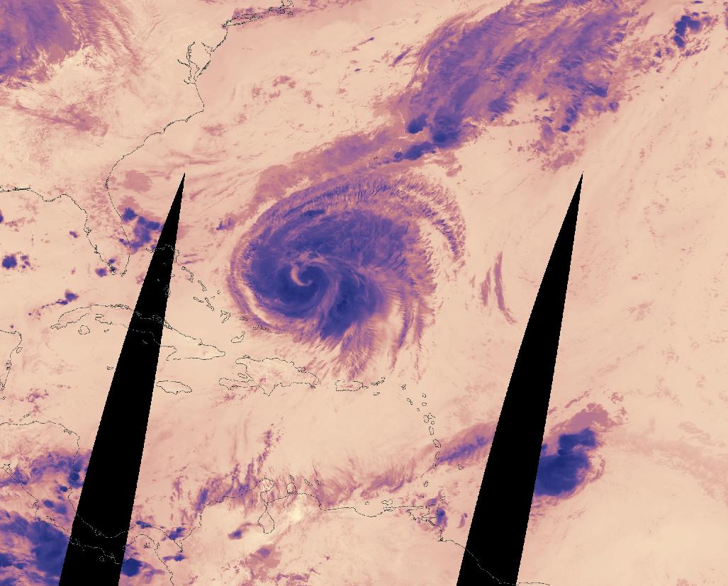 MODIS-TERRA-BT_2024-08-15T00_00_00Z.jpg