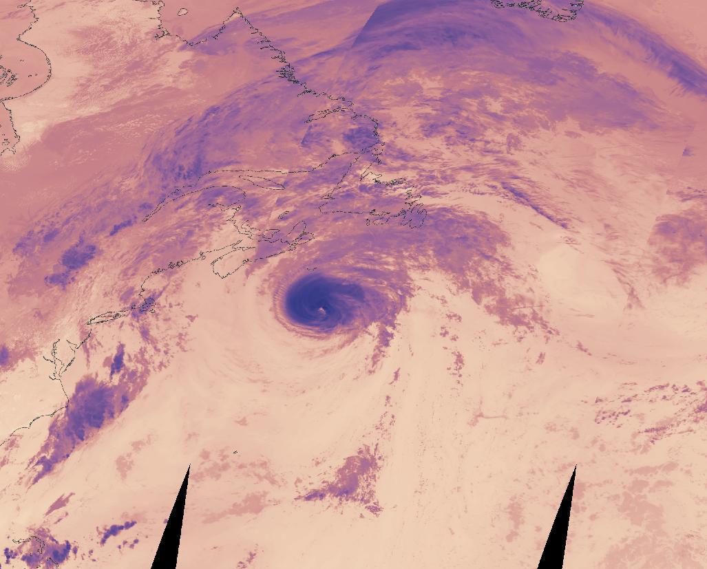 MODIS-TERRA-BT_2024-08-19T00_00_00Z.jpg